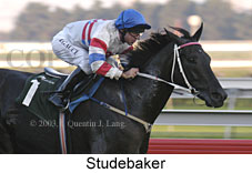 Studebaker (12228 bytes)