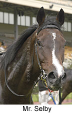 Mr. Selby (10725 bytes)