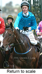 Return to scale (14903 bytes)