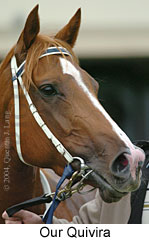 Our Quivira (12218 bytes)