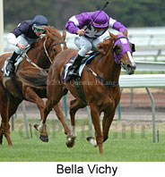 Bella Vichy (14655 bytes)