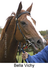 Bella Vichy (10865 bytes)