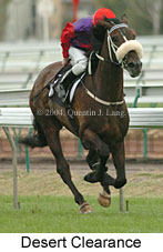 Desert Clearance (12529 bytes)