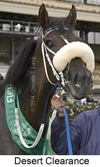 Desert Clearance (13733 bytes)