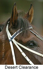 Desert Clearance (10626 bytes)