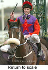 Return to scale (14799 bytes)