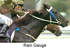 Rain Gauge (12257 bytes)