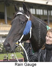 Rain Gauge (13543 bytes)