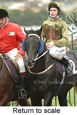 Return to scale (14646 bytes)