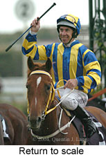 Return to scale (15196 bytes)