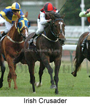 Irish Crusader (15592 bytes)