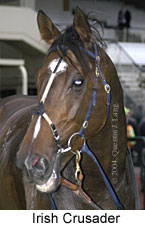 Irish Crusader (11706 bytes)