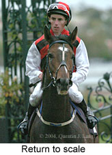 Return to scale (14401 bytes)