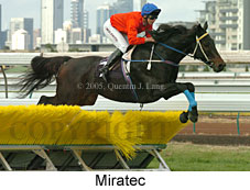 Miratec (14872 bytes)