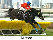 Miratec (14872 bytes)