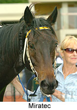 Miratec (14872 bytes)