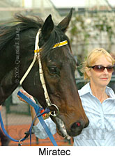 Miratec (14872 bytes)