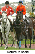 Return to scale (15361 bytes)