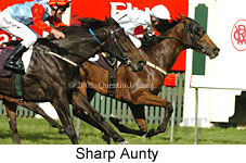 Sharp Aunty (14872 bytes)