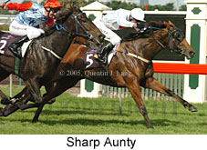 Sharp Aunty (14872 bytes)