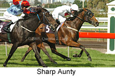 Sharp Aunty (14872 bytes)