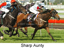 Sharp Aunty (14872 bytes)