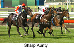 Sharp Aunty (14872 bytes)