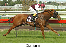 Cianara (14872 bytes)