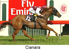 Cianara (14872 bytes)