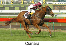 Cianara (14872 bytes)