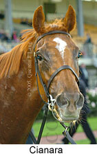 Cianara (14872 bytes)