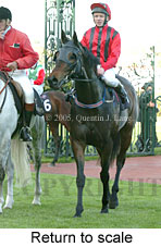 Return to scale (15361 bytes)