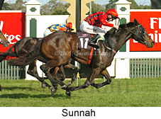 Sunnah (14872 bytes)