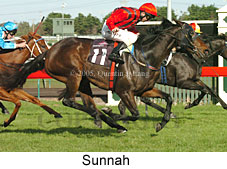 Sunnah (14872 bytes)