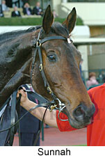 Sunnah (14872 bytes)