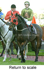 Return to scale (15361 bytes)