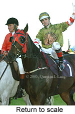 Return to scale (15361 bytes)