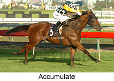 Accumulate (14872 bytes)