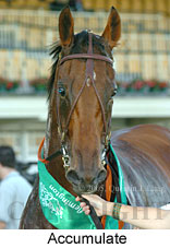 Accumulate (14872 bytes)