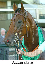 Accumulate (14872 bytes)