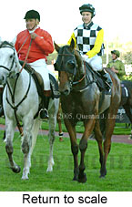 Return to scale (15361 bytes)