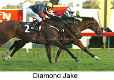 Diamond Jake (14872 bytes)