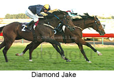 Diamond Jake (14872 bytes)