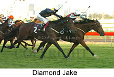 Diamond Jake (14872 bytes)