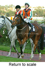 Return to scale (15361 bytes)