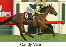 Candy Vale (14872 bytes)