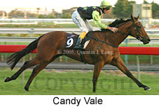 Candy Vale (14872 bytes)