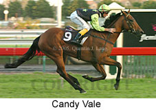 Candy Vale (14872 bytes)