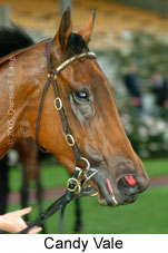 Candy Vale (14872 bytes)