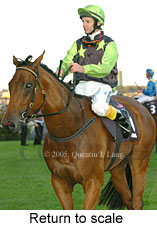 Return to scale (15361 bytes)